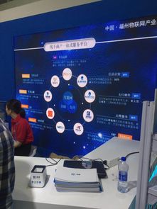 聚合支付技術(shù)亮相首屆數(shù)字中國建設(shè)峰會(huì)，四九八網(wǎng)絡(luò)科技引領(lǐng)網(wǎng)絡(luò)服務(wù)創(chuàng)新